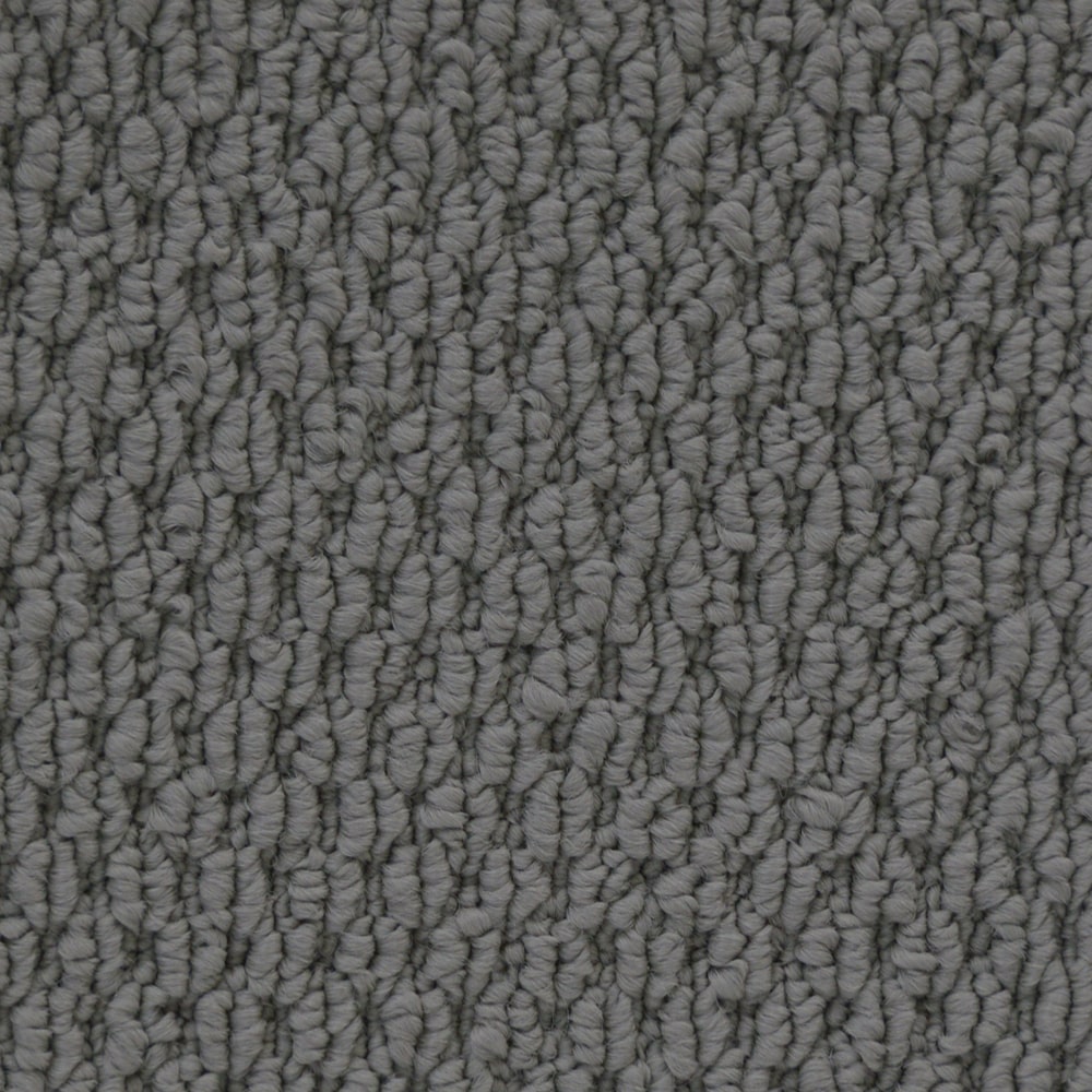 6436 CupidoII 11073 SHOEHORN min