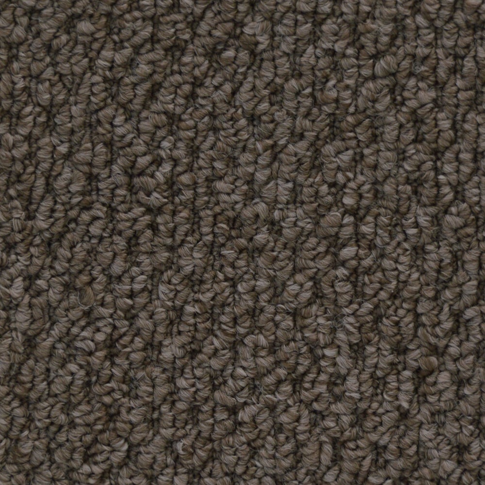 6436 CupidoII 73748 BISTRE BROWN min