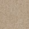 A4447 WebsterSDN 18924 BROWN BAG min