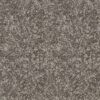 A4447 WebsterSDN 86533 COMET GREY min