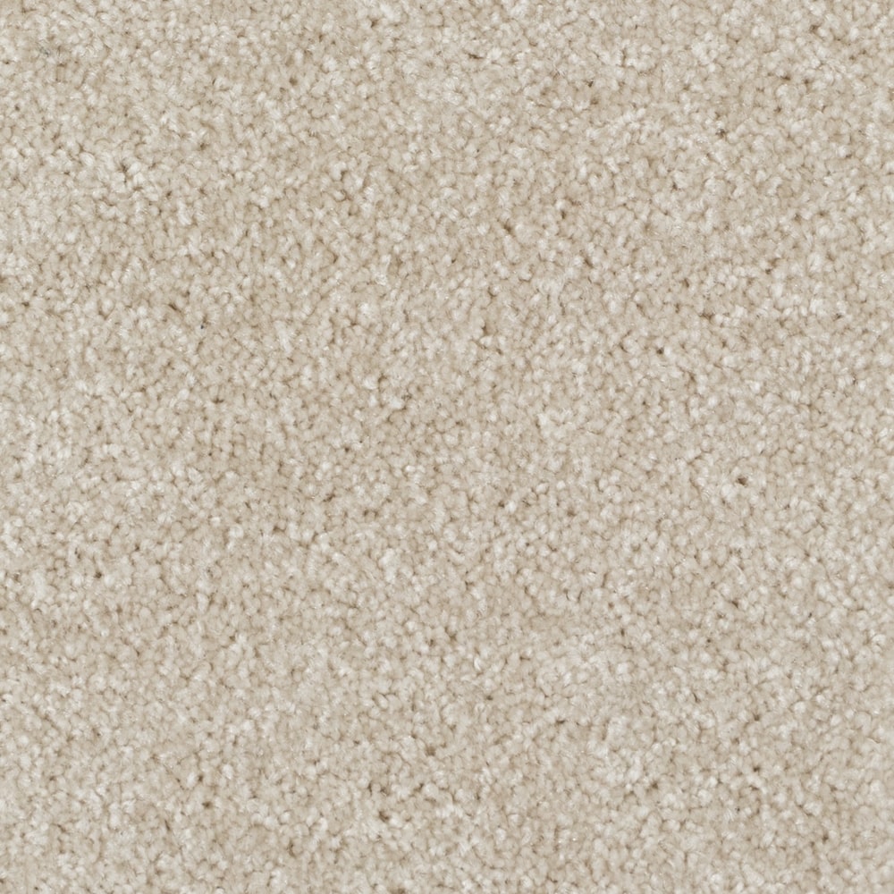 A4525 Minotaur 84558 BEACH SHELL min
