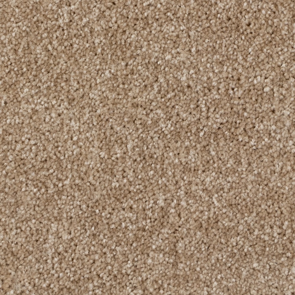 A4531_Spartacus_16320_PAMPA BEIGE-min A4531 Spartacus 16320 PAMPA BEIGE min