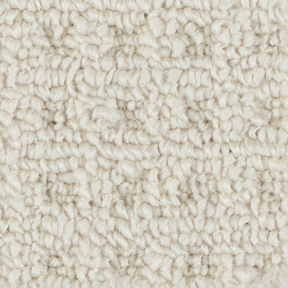 A6720 BoloriaII 14232 POLAR BEAR min