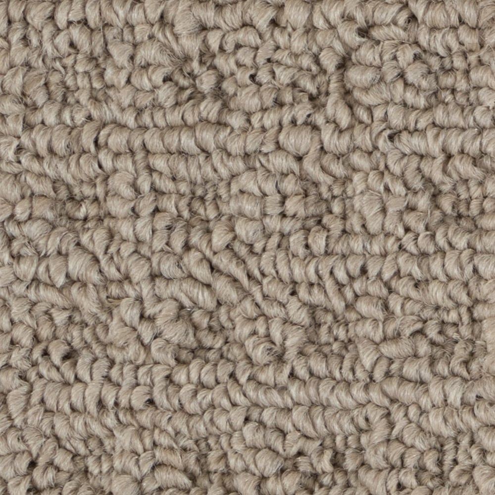 A6720 BoloriaII 16319 SHAMMY min