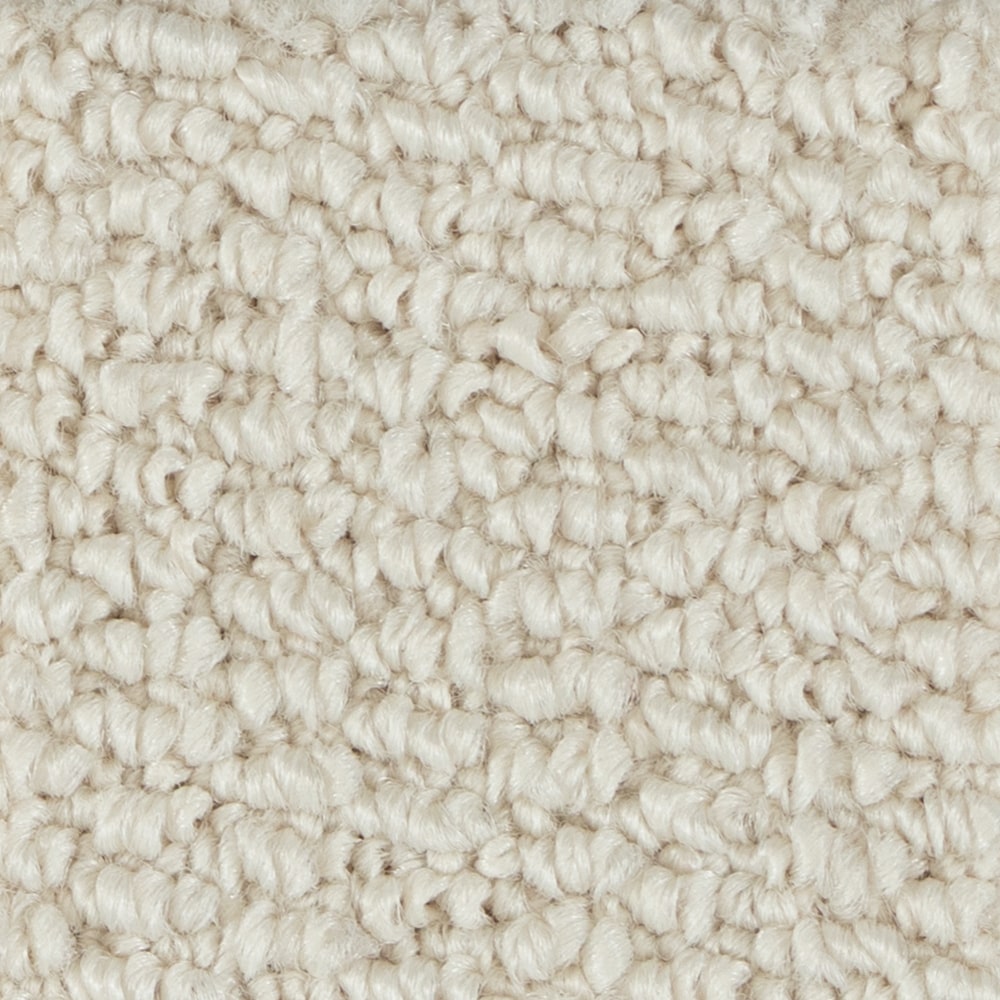 A6740 PapilioII 14232 POLAR BEAR min