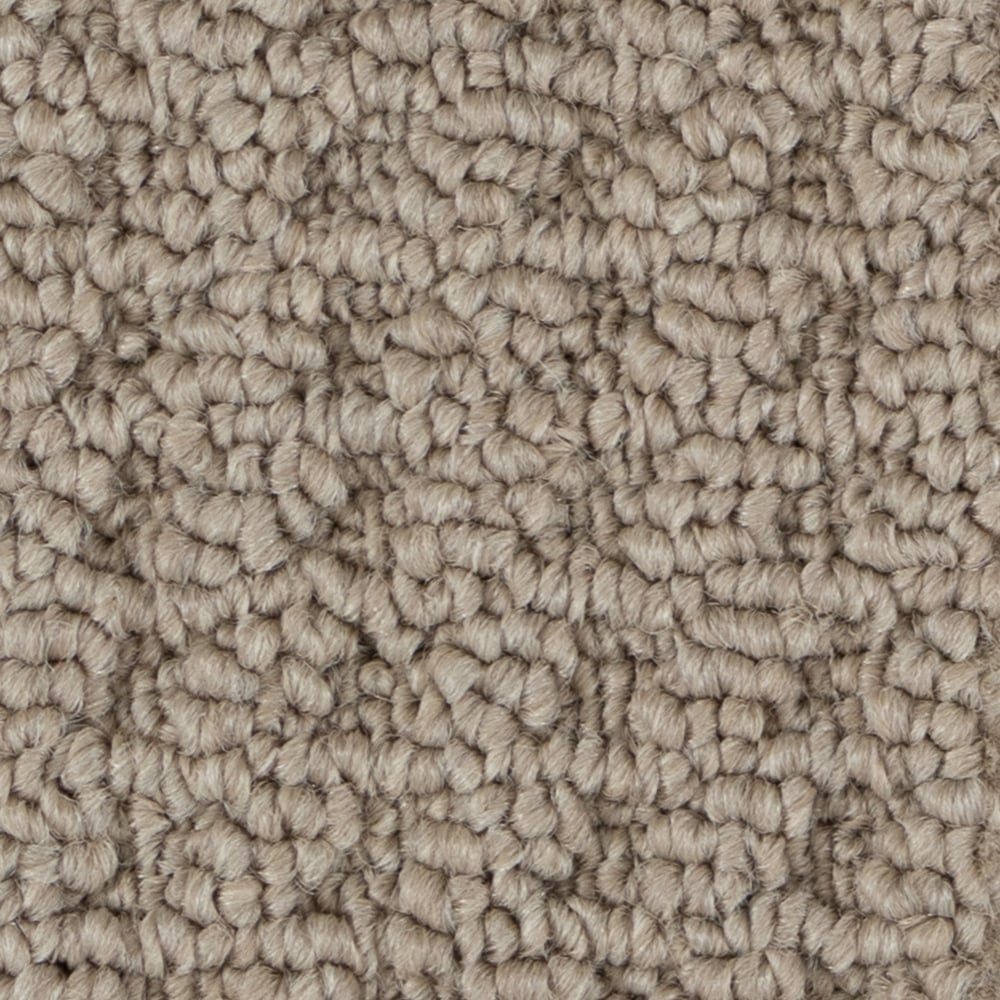 A6761 SultanaII 16319 SHAMMY min