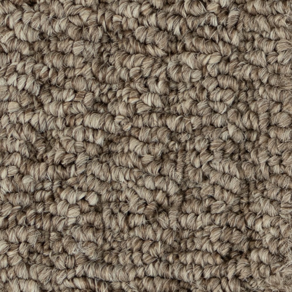 A6761 SultanaII 73748 BISTRE BROWN min