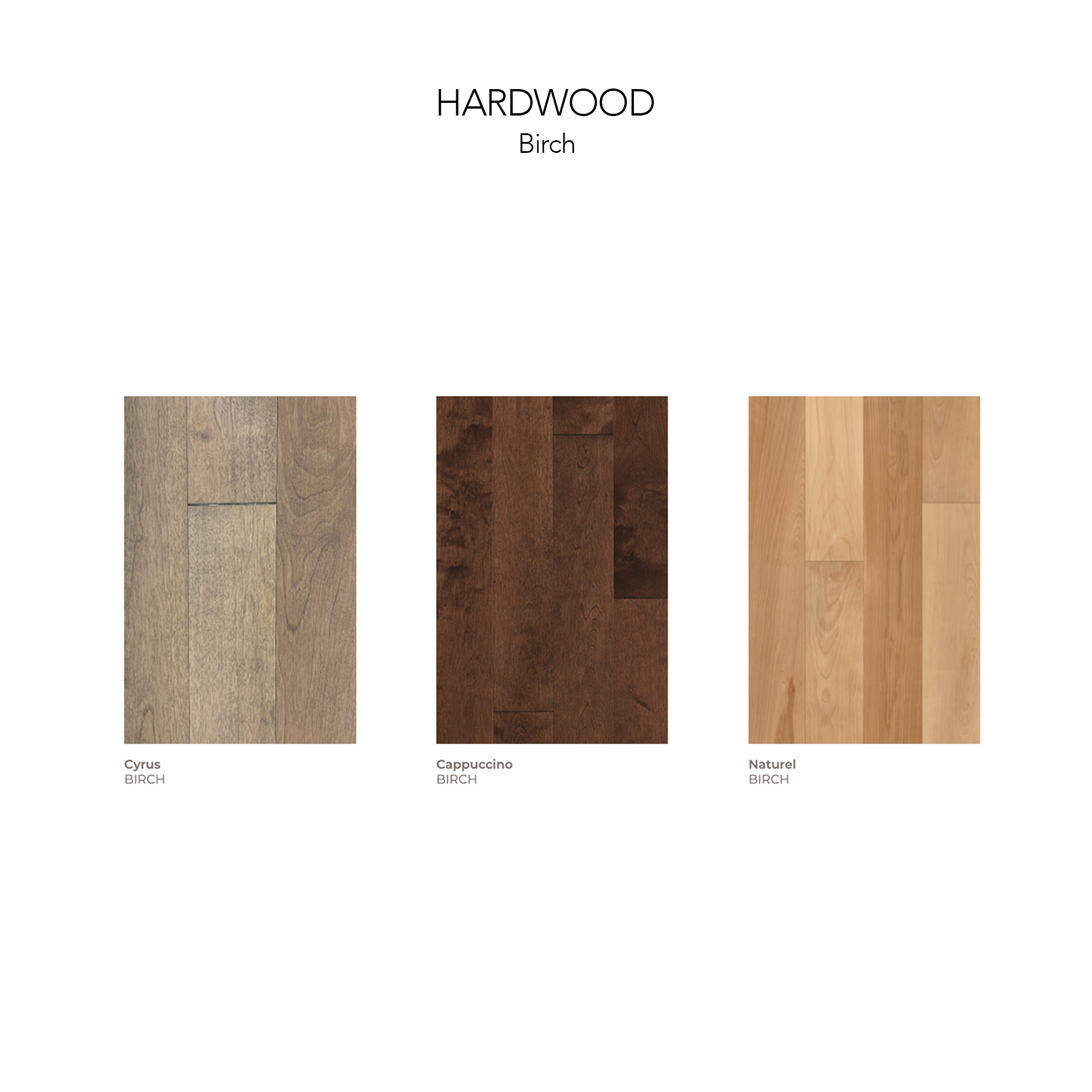 ec hardwood birch3
