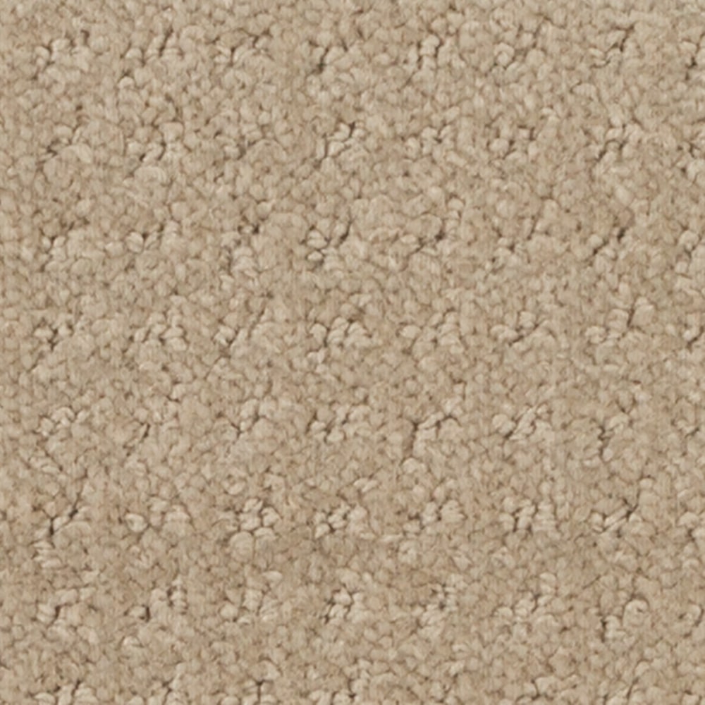 A8150 CostaConcordiaII 14252 GARDENIA BEIGE min