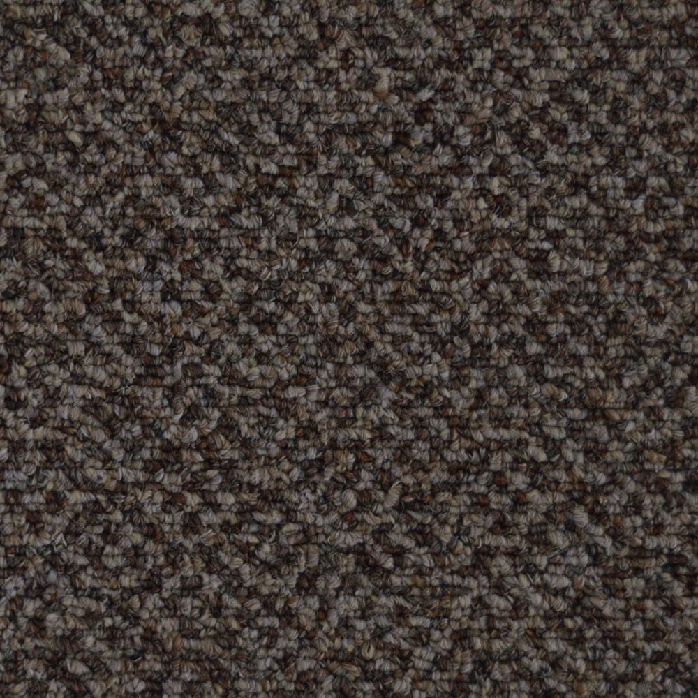 J7359 NetworkIII20 76792 COCOA min